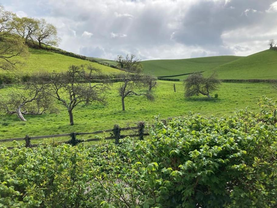 Bishopsteignton Charming Countryside Cottage Ground Floor Apartment In Combeinteignhead Devon מראה חיצוני תמונה